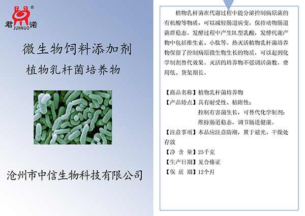 植物乳杆菌培养物