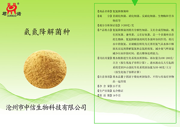 氨氮降解菌种