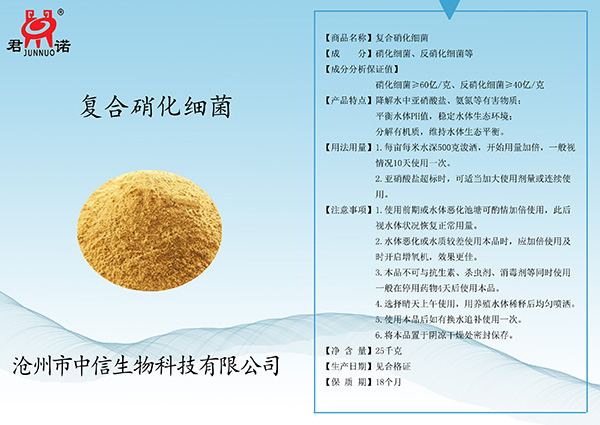 复合硝化